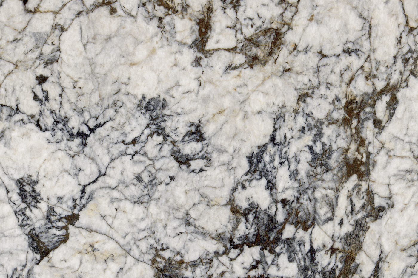 BLACKBERRY - KAMER MARBLE