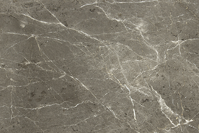 GREY SPIDER - KAMER MARBLE